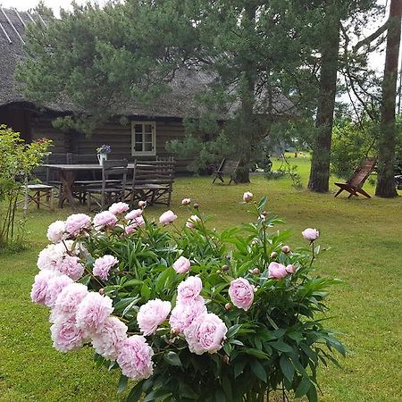 Maenni Summerhouse Kassari ภายนอก รูปภาพ